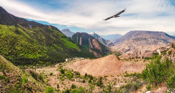 Mountain valley with a soaring eagle. High mountains, a complex mountain landscape, green vegetation-covered slopes. Panoramic view. Dagestan.