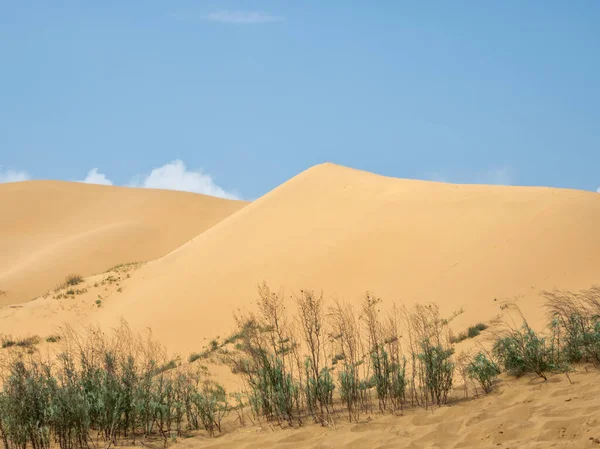 Large Sand Dune Blue Sky — 图库照片