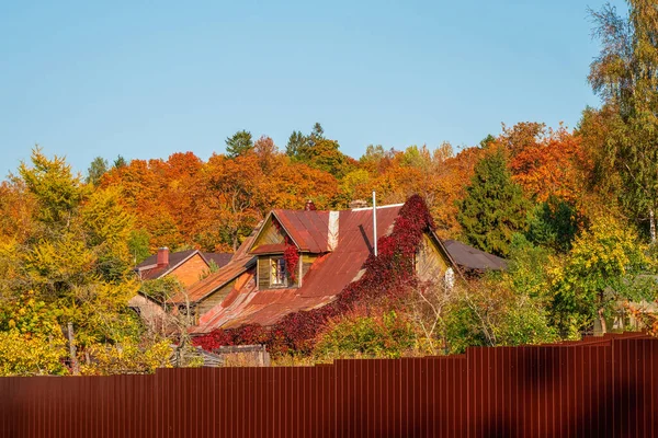 Старый Деревянный Дом Яркой Осенней Листве Высоким Красным Забором — стоковое фото