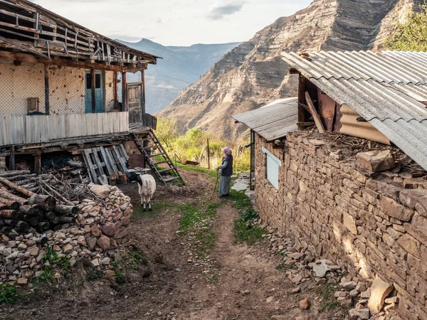 Woman with a goat. Picturesque street of the mountain village. Old village in Dagestan. Rural stone house in a village in Kakhib, Dagestan. Russia.