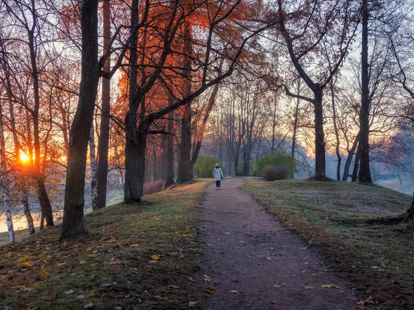 Atmospheric Autumn Morning Landscape Sunrise Silhouette Woman Winding Road Park — Foto de Stock