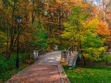 Autumn trail in sunny park. Fallen red leaves on an old stone bridge in the park.Tsaritsyno. Moscow.