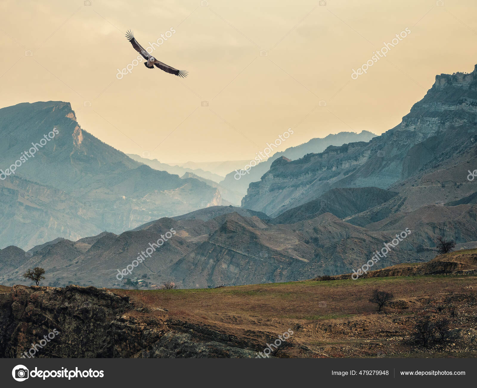 集中精神背景为粉色黎明天空的大气景观背景为群山轮廓鹰飞过高山峡谷夕阳西下 图库照片 C Sablinstanislav 集中精神背景为粉色黎明天空的大气景观背景为群山轮廓鹰飞过高山峡谷夕阳西下 图库照片 C Sablinstanislav