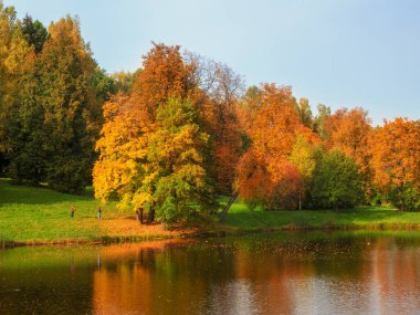 Göletin kıyısında sonbahar ağaçları. Kırmızı ağaçlı, parlak sonbahar manzarası. Pavlovsk 'ta. Rusya.