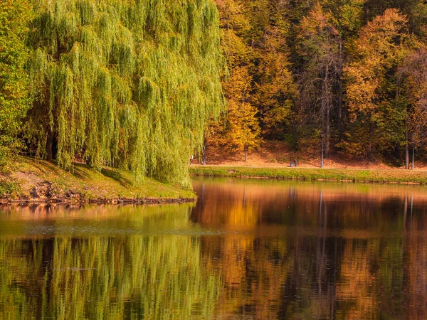 水によって大規模な普及柳と美しい秋の風景 モスクワのツァリツィノ — ストック写真