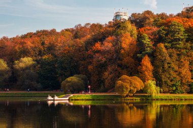 Autumn Park 'ta. Göl kenarındaki kırmızı ağaçlarla güzel bir sonbahar manzarası. Tsaritsyno, Moskova.