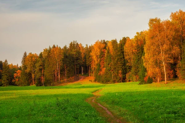 Stig Genom Åkern Till Höstskogen Pavlovsk Ryssland — Stockfoto