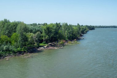 Nehir, bankayı ağaçlarla doldurdu. Nehir taşkını.