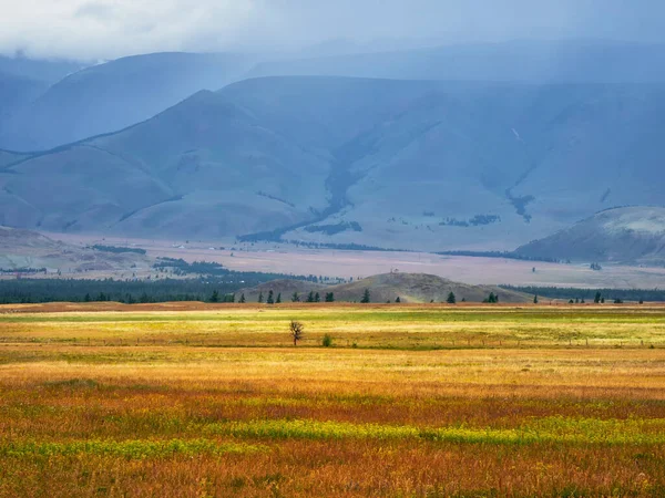 Яскравий Літній Степ Степ Тлі Гір — стокове фото