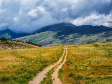 Dağların arasında eski bir patika. Dağ yolunda yürüyorum. Parlak bir atmosferik minimalist Alp manzarası. Dağlık arazideki otlar arasında kayalık bir patika. Dağın tepesinde bir patika. Dağ yamacına giden yol.
