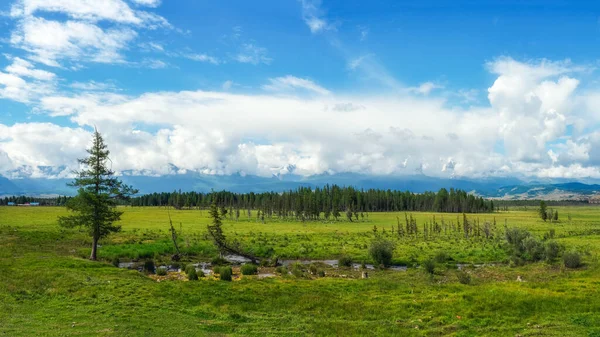 Зелене Болотисте Плато Тлі Далеких Гір Панорама Чистого Зеленого Пейзажу — стокове фото
