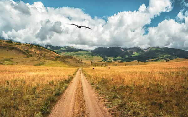 Way through mountains. Trekking mountain trail. Bright atmospheric minimalist alpine landscape with stony footpath among grasses in highlands. Pathway uphill. Way up mountainside.