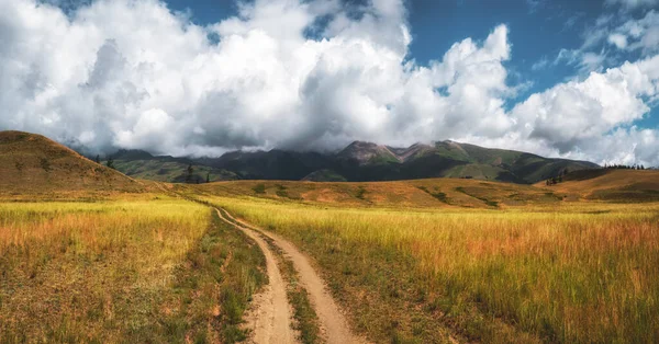 Path through mountains. Trekking mountain trail. Bright panoramic minimalist alpine landscape with stony footpath among grasses in highlands. Pathway uphill. Way up mountainside.