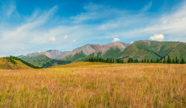Atmosferyczny Jesienny Krajobraz Górski Szeroki Panoramiczny Krajobraz Krawędzią Lasu Iglastego — Zdjęcie stockowe