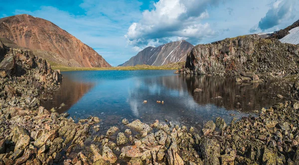 Panoramic View Blue Clean Mountain Lake Altai Tents Shore Beautiful — Stock Photo, Image