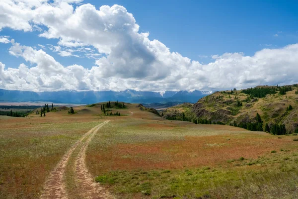 Trail through the mountains. Hiking up the mountain trail. A bright atmospheric minimalist Alpine landscape with a rocky path among the grasses in the highlands. The way up the mountainside.