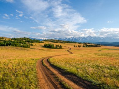 Dağların arasında bir patika. Dağ yolunda yürüyorum. Dağlık arazilerdeki otlar arasında kayalık bir yolu olan parlak bir atmosferik Alp manzarası. Dağ yamacına giden yol.