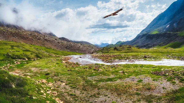 Vallée Montagne Ensoleillée Marécageuse Paysage Spectaculaire Avec Ruisseau Dans Une — Photo