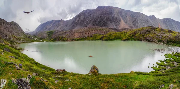 Turquoise Mountain Lake Gorge Altai Dramatic Mountain Landscape Rainy High — Stock Photo, Image