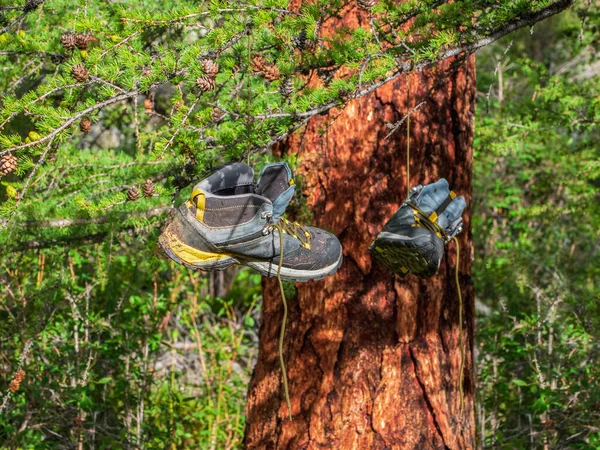 Botas Caminhada Molhadas São Secas Abetos Suspensos Por Seus Cadarços — Fotografia de Stock