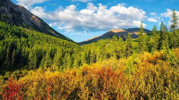 Underbart Landskap Till Vackra Gröna Berg Med Träd Solig Höstdag — Stockfoto