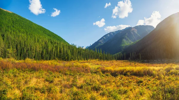 Nádherná Krajina Krásných Zelených Hor Stromy Slunečném Podzimním Dni Živé — Stock fotografie