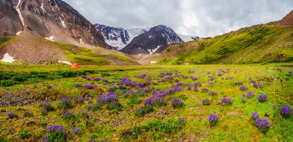 Yeşil Yüksek Rakımlı Platodaki Kampın Panoramik Görüntüsü Yağmurlu Bir Günde — Stok fotoğraf