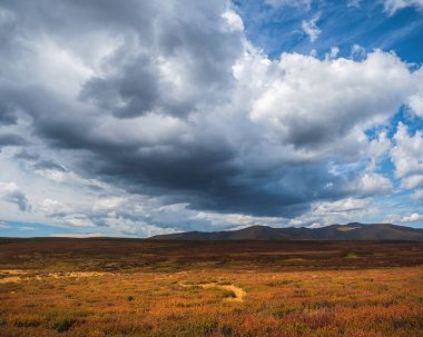 Sonbahar vadisinde büyük bulut. Dramatik bulut manzarası. Yağmurdan önce sağanak yağmur bulutlarının arasından geçen güneşli bir ışık. Bulutlu yağmurlu kötü hava. Fırtına uyarısı. Fırtınalı bulutlu gökyüzünde güneş ışığı.