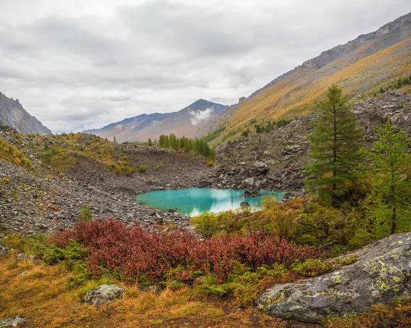 Autumn Alpine Landscape Beautiful Shallow Mountain Lake Streams Highland Valley — Stock Photo, Image