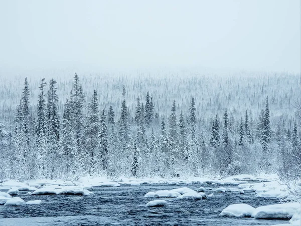 stock image Amazing winter landscape with a snow-covered hills covered with coniferous forest. 