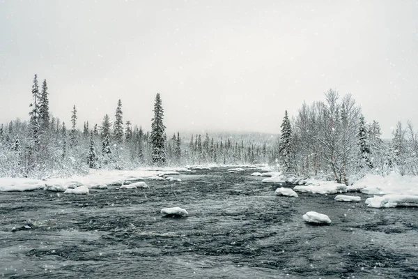 Divoká Zima Zasněžený Severní Les Řekou Polárním Dni Nedotčená Čistá — Stock fotografie