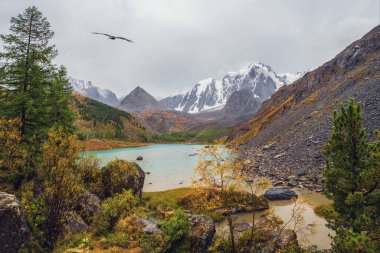 Sonbahar yağmurlu dağ manzarası, dağlık vadideki dereleri bulutlu gökyüzünün altındaki daha büyük dağlardan gelen güzel sığ dağ gölü. Yukarı Shavlin Gölü, Altai 'de..