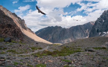 Uçan kuşlu Rocky Dağı vadisi. Karla kaplı dağ sıralarının arasındaki Highland Vadisi ve mavi gökyüzünün altındaki sivri tepeler. Atmosferik dağ manzarası.