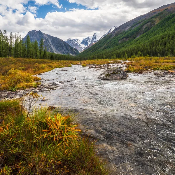 電力山の川は氷河から流れている 速い川で紺碧の水と美しい高山の風景 高地の雄大な自然の力 アルタイ山脈 — ストック写真