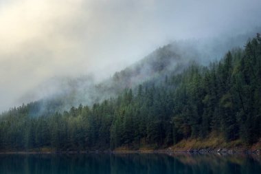 Yumuşak odaklanma. Köknar yamacının siluetleri yoğun siste dağ gölü boyunca uzanır. Mavi sudaki kozalaklı ağaçların yansıması. Sabahın erken saatlerinde sakin Alp manzarası. Hayaletli atmosfer manzarası.