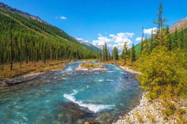 Güç dağı nehri buzuldan aşağı akıyor. Hızlı bir nehirde gök mavisi suyu olan güzel bir dağ manzarası. İskoçya 'nın görkemli doğasının gücü. Su akıntısı. Altai Dağları.