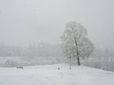 Kar yağışı ile sessiz bir kış günü. Yoğun kar yağışı altındaki bir kış parkının minimalist fotoğrafı. Ağaçların siluetleri zar zor ayırt edilebilir. Olağanüstü kış arkaplanı.