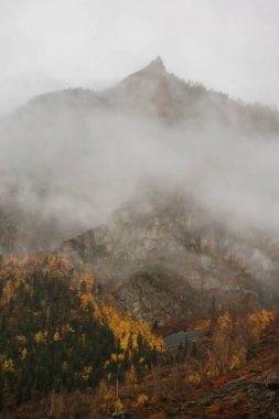 Alçak bulutlarda renkli sonbahar ormanı olan gizemli bir manzara. Yoğun kar bulutları sonbahar ormanlık dağ vadisinde süzülür.. 