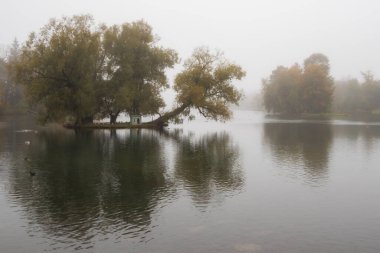 Göllü sisli bir manzara. Sonbaharda bir gölde, sisle çevrili ve suya yansıyan bir ada. Gatchina. 