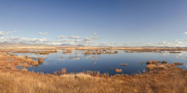 Yüksek rakımlı bir sonbahar platosunda, açık bir günün geniş bir manzarasının fotoğrafı. Bataklık bir arazi. Altai..
