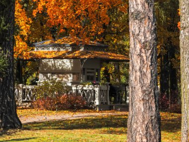 Sonbahar ağaçlı ahşap bir ev. Parktaki açık sonbahar kafesi düşen sonbahar yapraklarıyla kaplıdır. Güzel güneşli sonbahar havası.