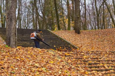 Adam yaprak üfleyicisiyle parkı temizliyor. Parkta yaprak hasat. Parktaki merdivenler sonbahar yapraklarıyla kaplı. Yağmurlu bir sonbahar gününde renkli yapraklarla güzel bir park manzarası.. 