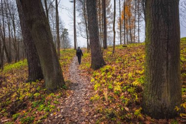 Arkadan tanınmayan bir adam, sonbahar parkında ağaçların arasında yürüyor..