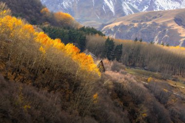 Sıcak ahşap ev ve sonbahar ormanı. Mesafeye bak. Bir dağ vadisinin arka planına karşı ormanın çapraz yamacı.