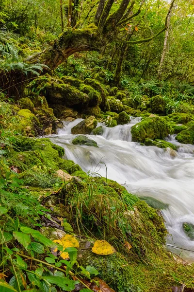waterfall on a stormy mountain river, vertical view