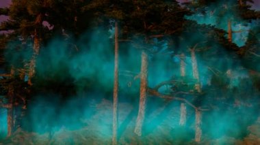 Çam ve bir tepe üzerinde dağlarda Ladin. Mavi sis ağaçlar arasında taşıma. Sabah erken. 