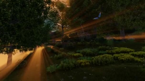 Sabah ışınları orman onların yol yapmak. Derin renk dramatik manzara. Günbatımı gökyüzü arka plan. — Stok video