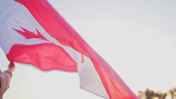 La bandera de Canadá en manos de una persona. Símbolo canadiense sobre el telón de fondo de una hermosa puesta de sol. Orgullo e independencia — Vídeo de stock