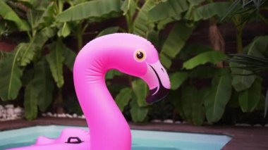Havuzda pembe şişme flamingo. Villada lüks bir tatil. Tatil