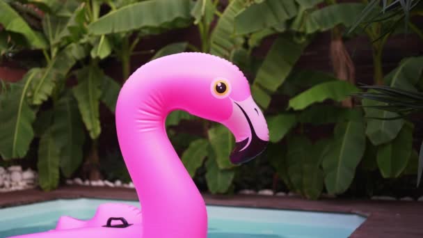 Flamenco inflable rosa en la piscina. Vacaciones de lujo en la villa. Vacaciones — Vídeos de Stock